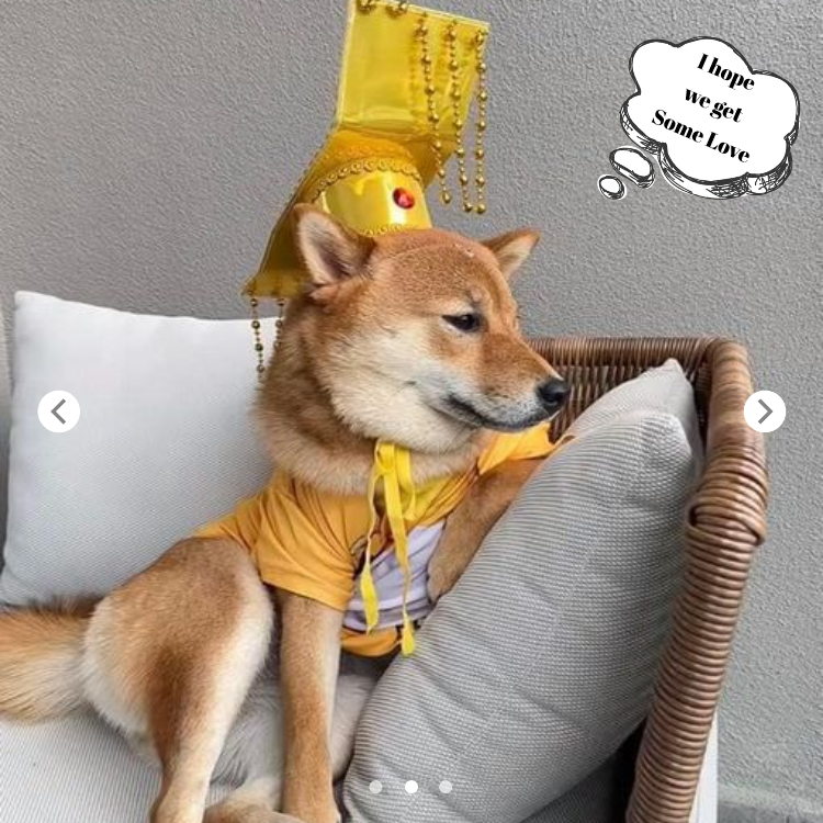 The Regal Shiba Inu: Looking Dapper in a Royal Robe! 🐶👑